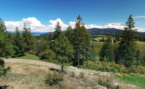 A scenic view of rolling hills and trees under a blue sky with fluffy clouds, showcasing a peaceful natural landscape.